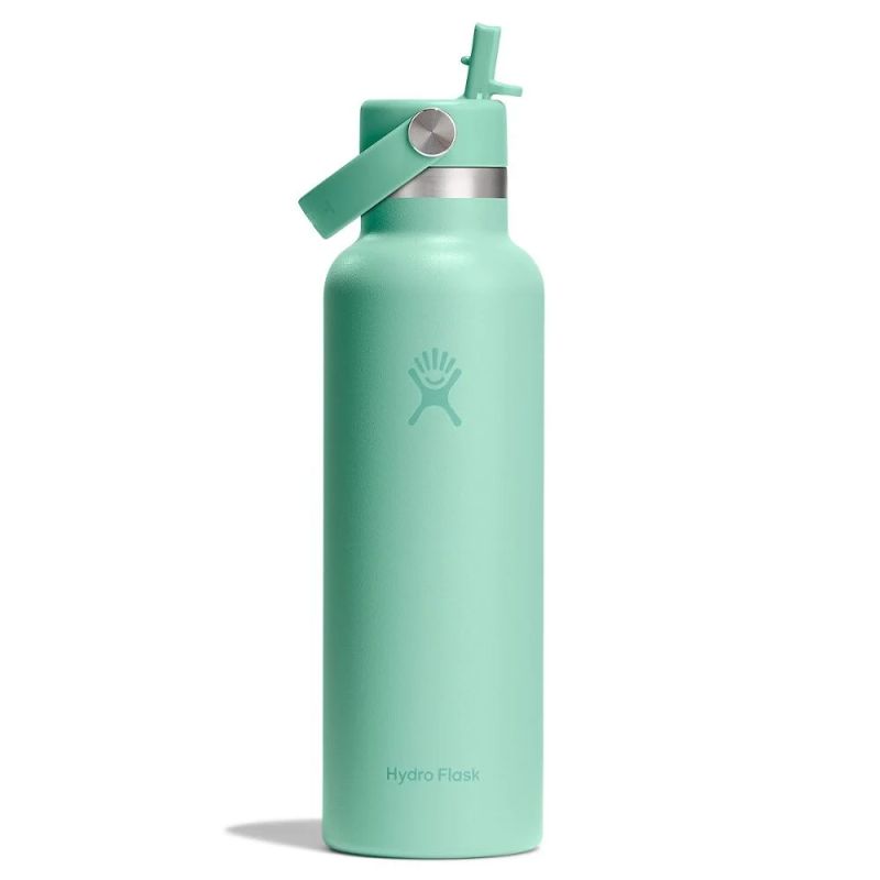 STANDARD WITH FLEX STRAW CAP 621ML MERMAID GREEN